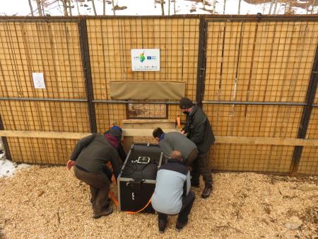 FOTO 3_Tris_v prilagoditveno oboro_Maja Sever